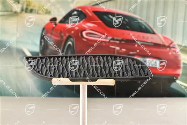 Abdeckung Heckstoßtange Luftauslassrahmen, GT3, L