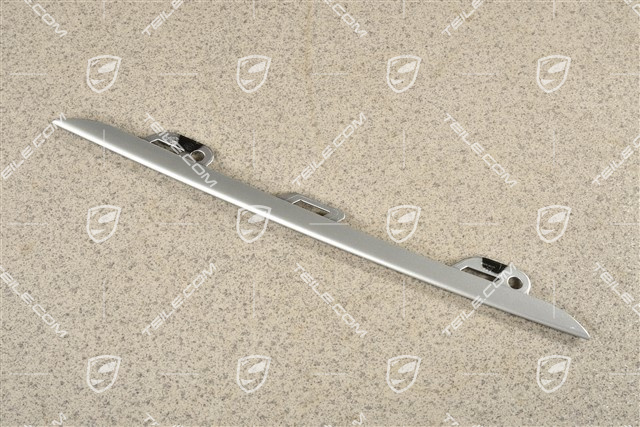 Disc trim for front bumper retaining frame, centre, Rhodium Silver, L