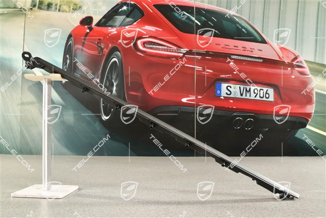 Türverkleidung Zierleiste, Carbon, R