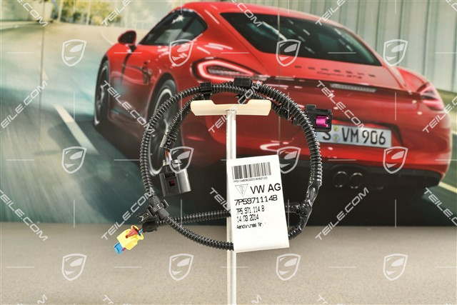 Kabelstrang, Airbag sensor, Fanfare Hochton, R
