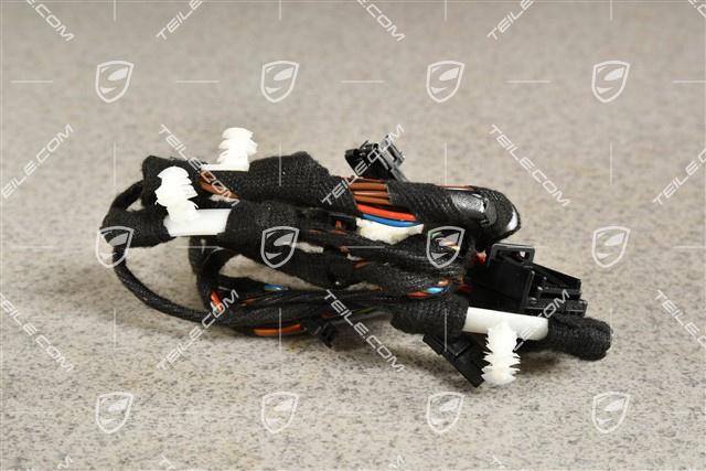 Kabelstrang / Kabelbaum Tuertafel, Hinten, Innenlichtpaket, L=R