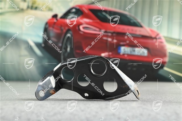 Halter, Druckspeicher