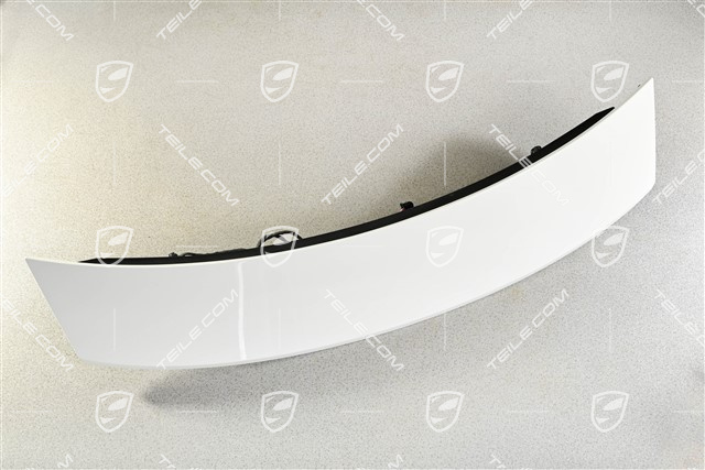 rear spoiler, complete