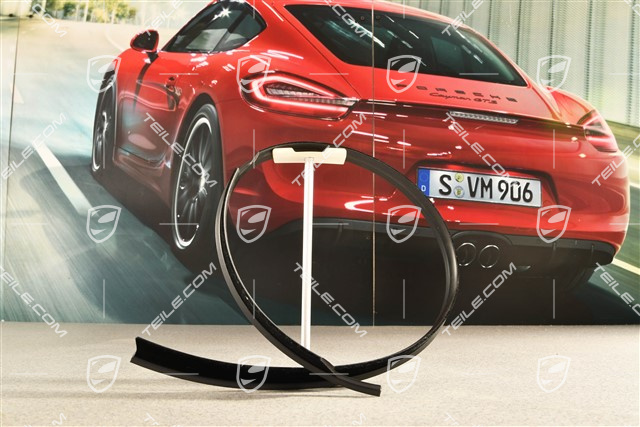 Targa, Abdichtleiste Tür, Aussen, L