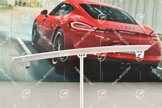 Front bumper disc / trim, lower, Platinum silver metallic, R