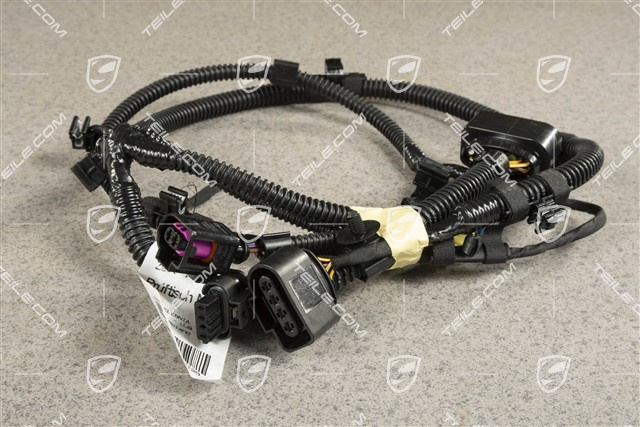 Wiring harness, Basic cruise control