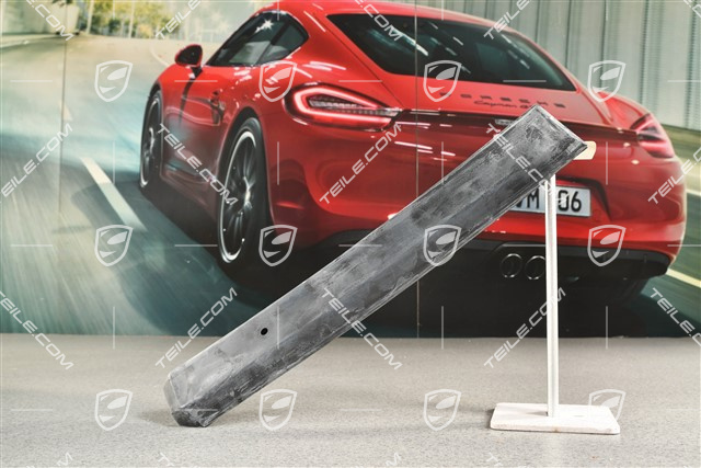 Bumper trim strip, L