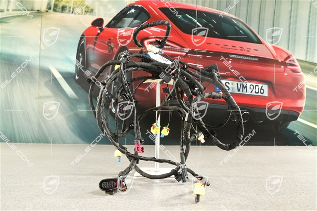 Wiring harness front bumper, pedestrian protection standard