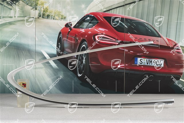 Zierleiste Türschacht, inkl. Dichtung, hinten, Aluminium, R