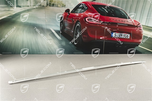 Guide bar, Porsche Large roof system, 4,8L 368kW, R