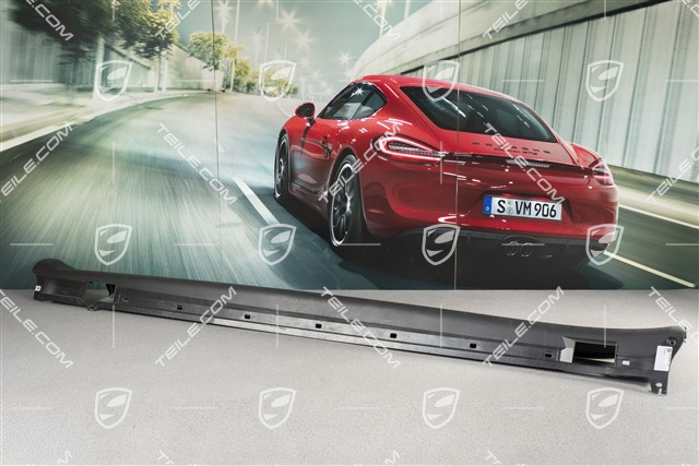Schwellerblende, kurzer Radstand, ohne Sport Design Paket, L
