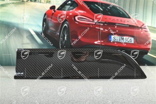 Blende, Tür, hinten, Carbon-Glänzend Schwarz, R