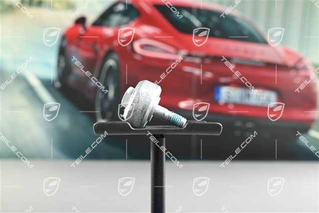 Śruba z obciążnikiem / śruba równoważąca drgania, zacisk hamulca tylnego