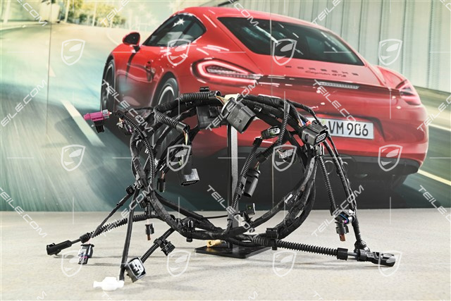 Front bumper Wiring harness / Electric loom Turbo, L