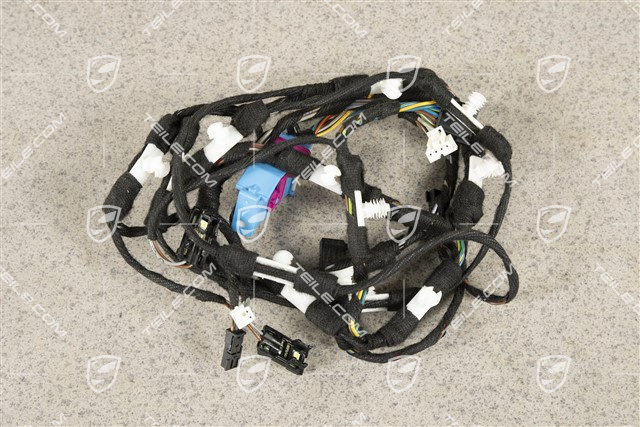 Wiązka elektryczna, drzwi pasażera, ASK, R