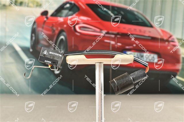 Mikroschalter, Alarmanlage