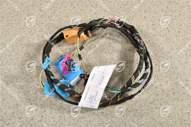 Wiązka elektryczna, Rama montażowa, drzwi kierowcy, L