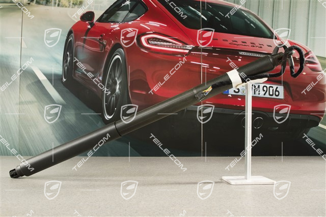 Damper cylinder Trunk / boot lid