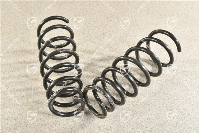 C2 / GTS, Schraubenfeder, VA, PASM / PDCC, Kennzeichnung Lichtblau / Braun, Satz, L+R