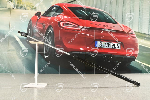 Gas shock support cylinder, R