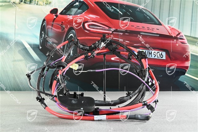 Kabelstrang Batterie