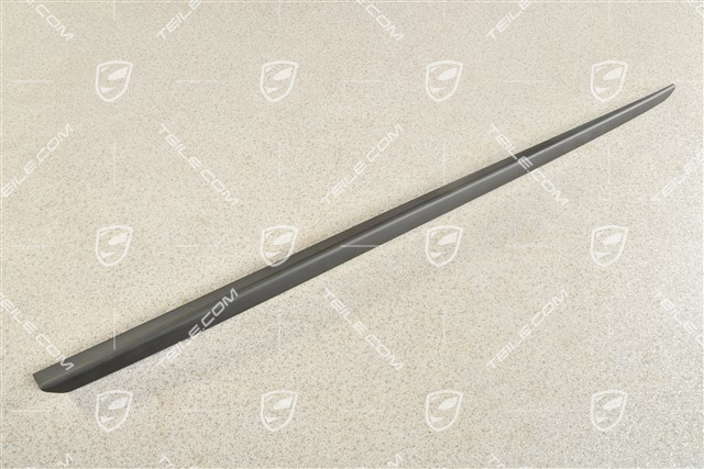 Coupe, Windschutzscheibenrahmen, Wasserfangleiste, Satinschwarz, L