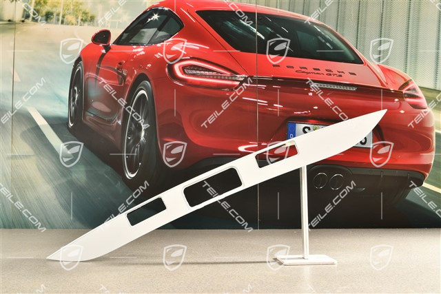 Tailgate handle housing / license plate light housing