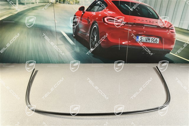 Moulding, rear window, Targa