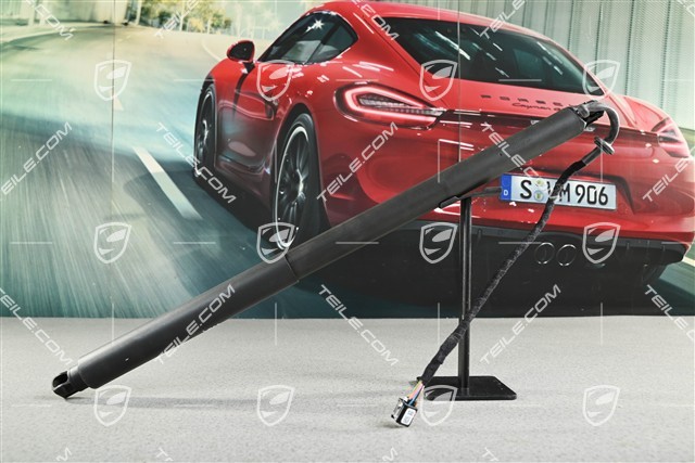 Stellelement, Dämpfer elektrisch, Servoschliesselung Heckklappe, L=R