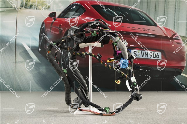 Wiązka instalacji elektrycznej drzwi pasażera, Bose, 2 piny, R