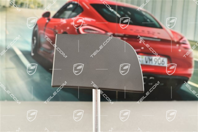 Zaślepka tapicerki drzwi, Platinum Grey, R