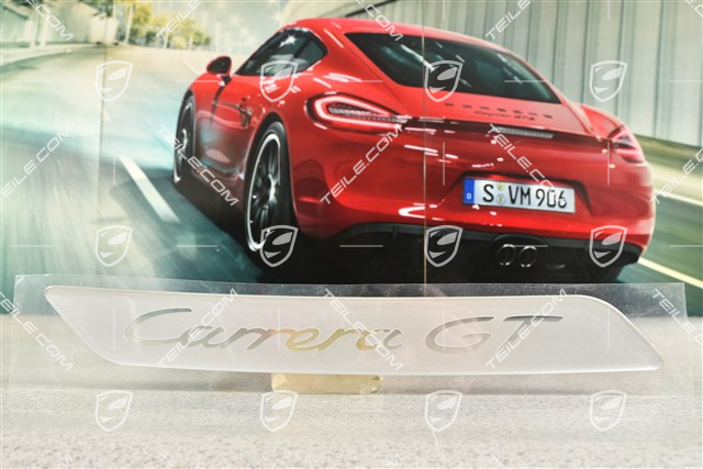 Einstiegleiste, Schriftzug Aufkleber CARRERA GT, L