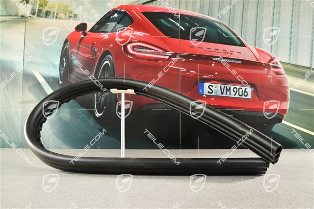 Gasket, Plenum panel / firewall