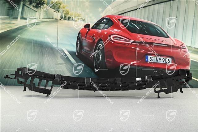 Halteleiste / Halteschiene, Stossfänger hinten, mitte