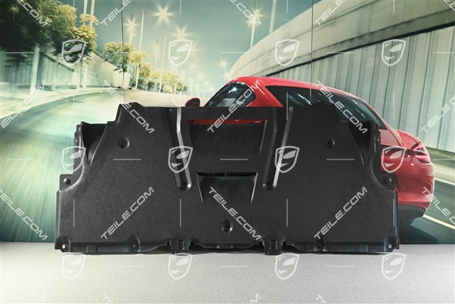 Unterbodenverkleidung / Abdeckung, GT3 / GT3RS