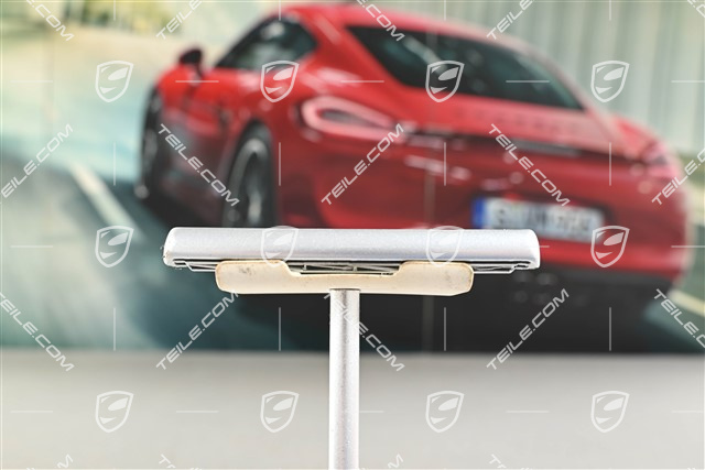 Zierleiste, Sportsilber, Fahrerseite, L