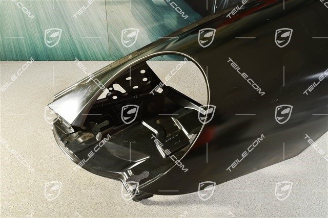 Wing, damaged, L