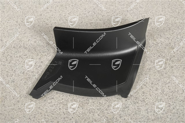 Rear light cover, outer, R