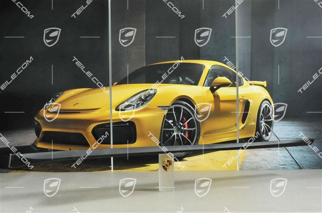 Sill cover, C4/C4S/Targa4/Targa4S/GT3, R
