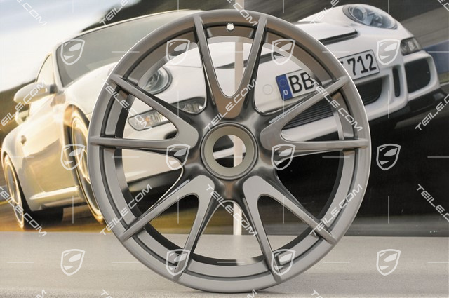 19" Felge GT3RS / GT3RS 4.0, GT-Silber, 12J x 19 ET48