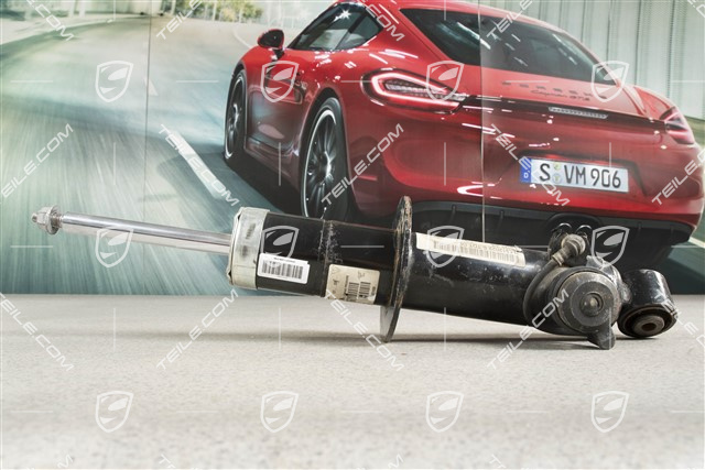 Stossdämpfer / Schwingungsdämpfer, HA, PASM / V8, R