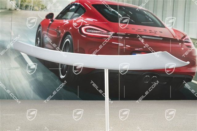 Front bumper disc / trim, lacquered, upper, R