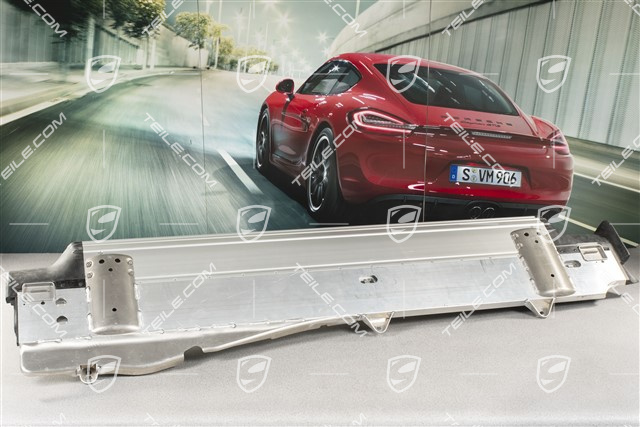 Schwellerschutz / Trittbrett, Schwellerleiste, komplett, L