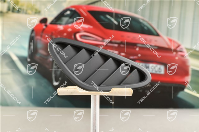 Cover, Defroster nozzle for windscreen, Black, R