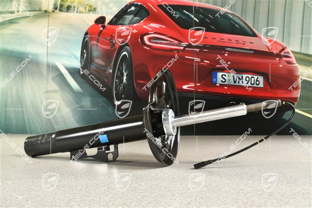 Stoßdämpfer, elektronische Dämpferregelung PASM, L=R