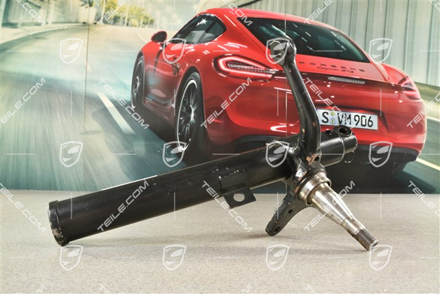 Dampferbein, L, Bremssattel S, 18mm Gewinde, (BILSTEIN)