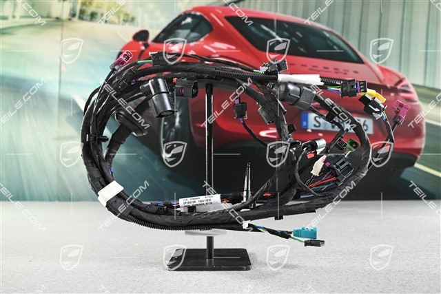 Kabelstrang, Stoßstange hinten, Außenantenne, Einparkhilfe + Rückfahrkamera