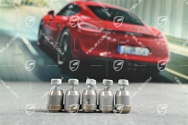 GT3 / GT3RS / GT2RS / Speedster, Befestigungsteile für Bremsscheibe Zentralverschluss