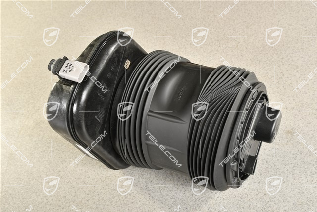 Stossdämpfer, Hinterachse, PASM, L