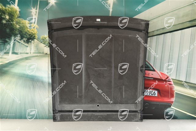 Outer roof panel, carbon, GT3RS, Weissach package